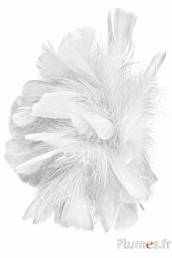 Tacchina - Ø 18 cm - bianco